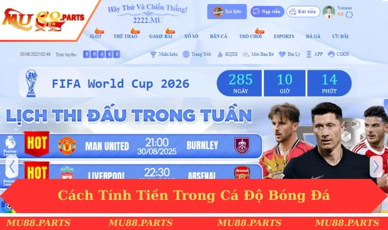 Cách tính tiền trong cá độ bóng đá