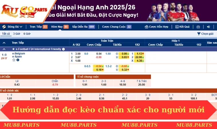 Cách Đọc Kèo Bóng Đá - Mu88 Hướng Dẫn Ngắn Gọn, Dễ Hiểu 3 Hướng dẫn đọc kèo chuẩn xác cho người mới