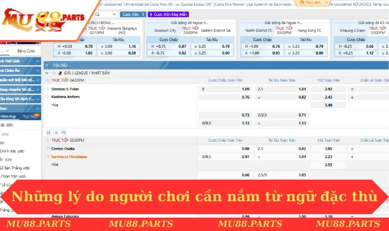 Thuật Ngữ Cá Độ Bóng Đá - Hiểu Rõ Những Kiến Thức Quan Trọng 1 Những lý do người chơi cần nắm từ ngữ đặc thù