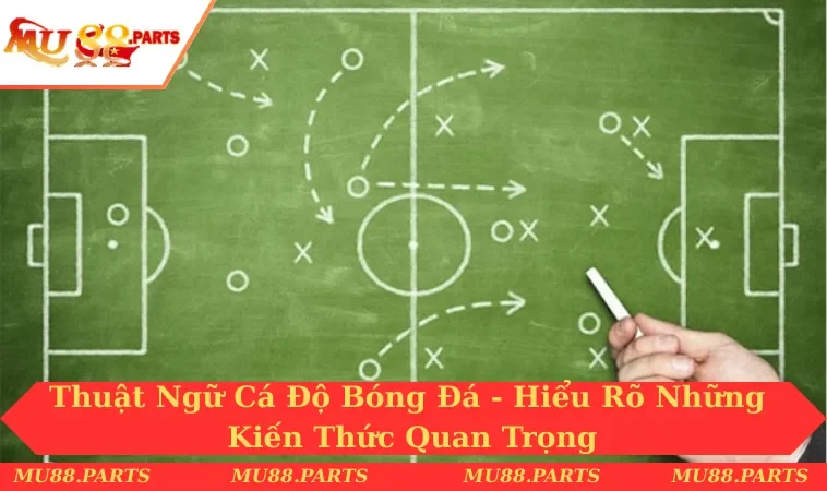 Thuật Ngữ Cá Độ Bóng Đá